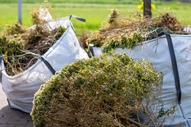Best Electronics Removal Services  in , VA